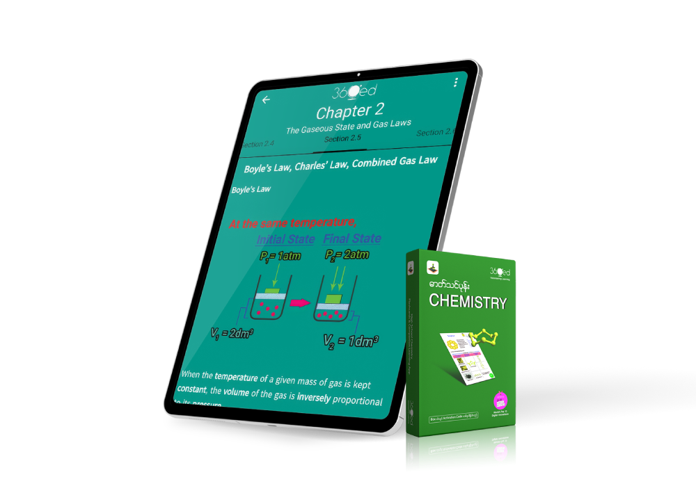 Bilingual Chapter Summaries