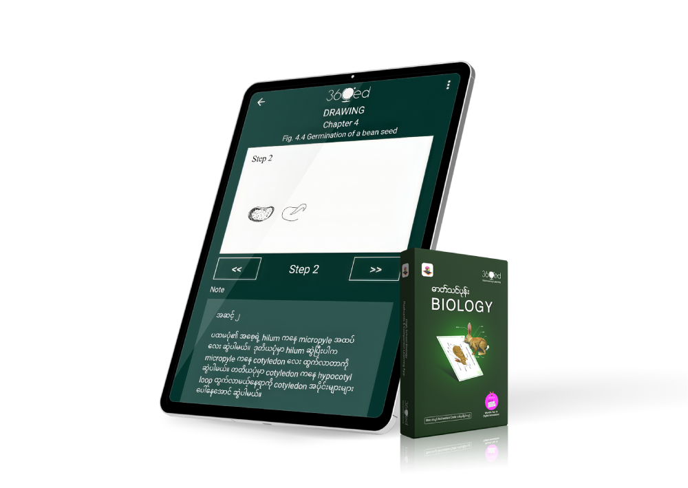 Concept Reinforcement