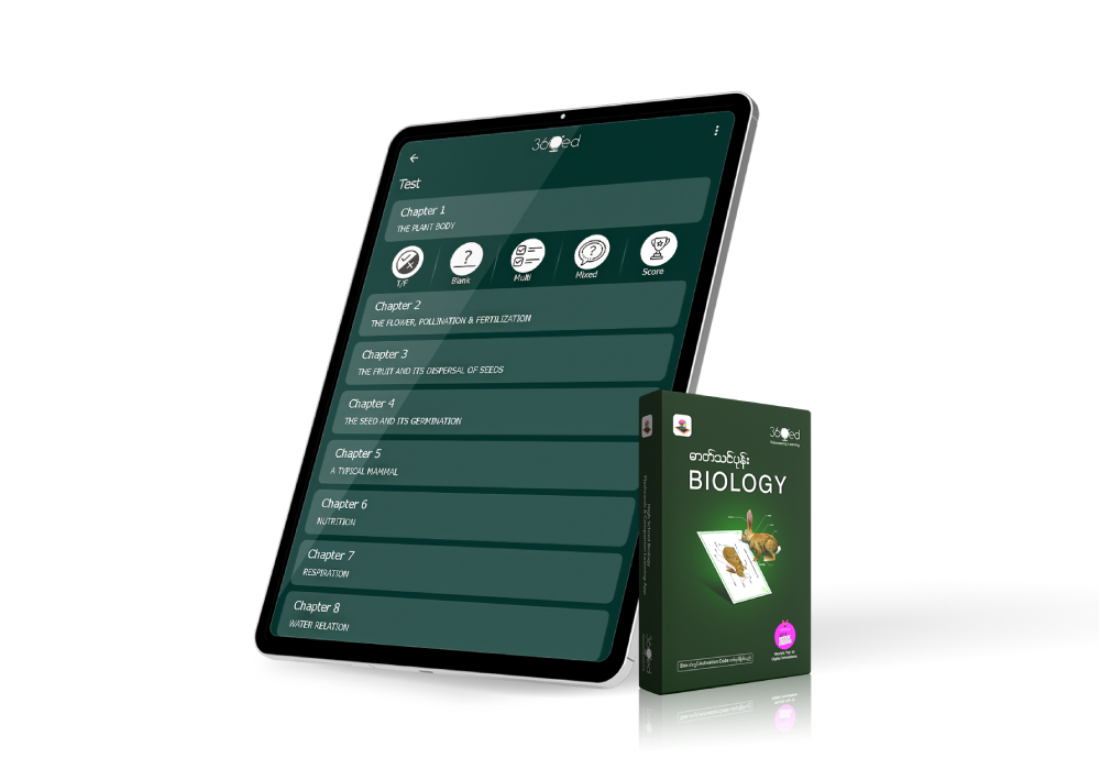 Exam Preparation Hub